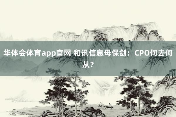 华体会体育app官网 和讯信息母保剑：CPO何去何从？