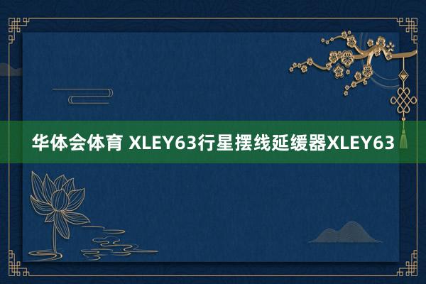 华体会体育 XLEY63行星摆线延缓器XLEY63