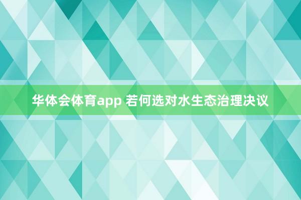华体会体育app 若何选对水生态治理决议