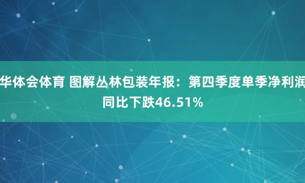 华体会体育 图解丛林包装年报：第四季度单季净利润同比下跌46.51%