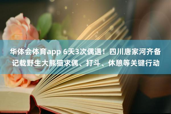 华体会体育app 6天3次偶遇！四川唐家河齐备记载野生大熊猫求偶、打斗、休憩等关键行动