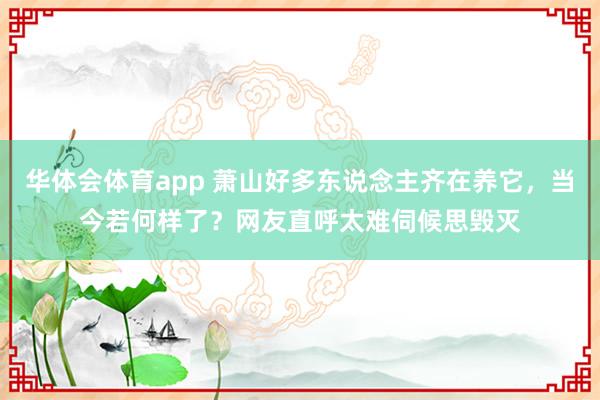 华体会体育app 萧山好多东说念主齐在养它，当今若何样了？网友直呼太难伺候思毁灭