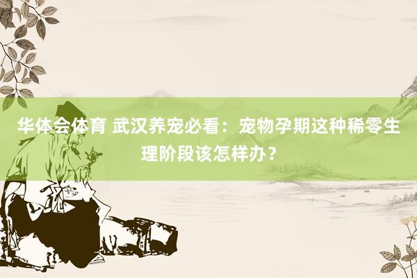 华体会体育 武汉养宠必看：宠物孕期这种稀零生理阶段该怎样办？