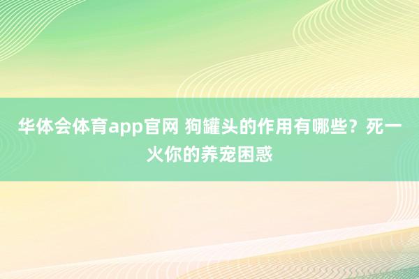 华体会体育app官网 狗罐头的作用有哪些？死一火你的养宠困惑