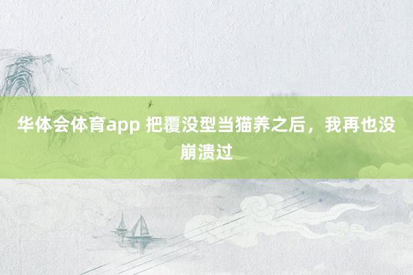 华体会体育app 把覆没型当猫养之后，我再也没崩溃过