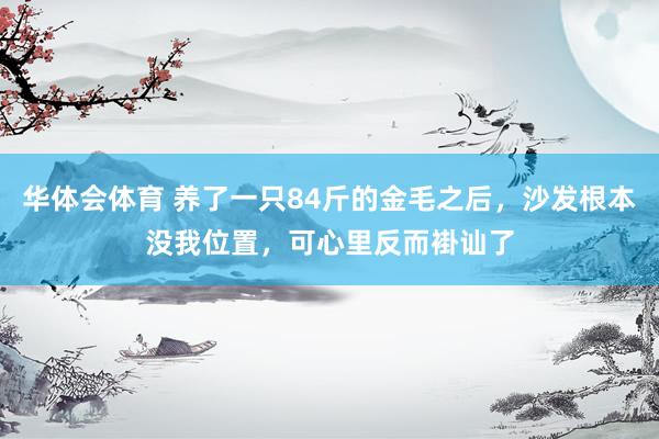 华体会体育 养了一只84斤的金毛之后，沙发根本没我位置，可心里反而褂讪了