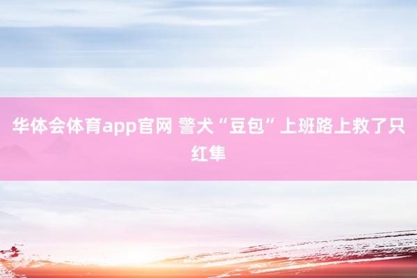 华体会体育app官网 警犬“豆包”上班路上救了只红隼