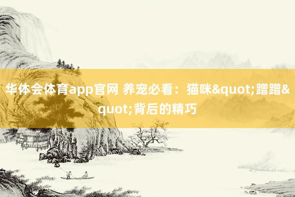 华体会体育app官网 养宠必看：猫咪"蹭蹭"背后的精巧