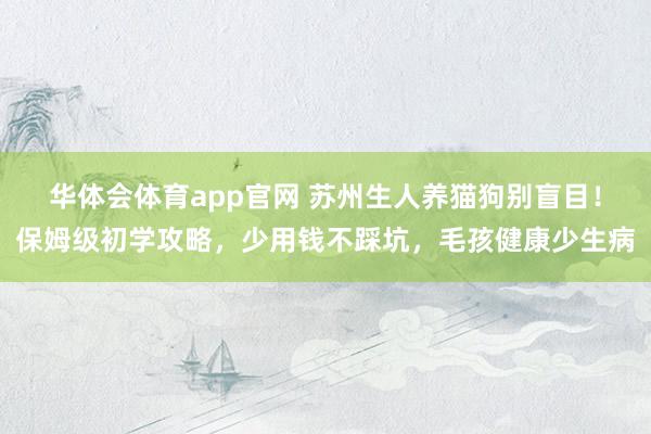 华体会体育app官网 苏州生人养猫狗别盲目！保姆级初学攻略，少用钱不踩坑，毛孩健康少生病