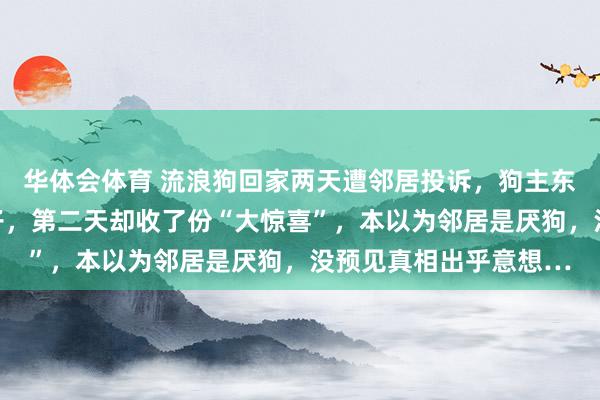 华体会体育 流浪狗回家两天遭邻居投诉，狗主东说念主力挺自家毛孩子，第二天却收了份“大惊喜”，本以为邻居是厌狗，没预见真相出乎意想…