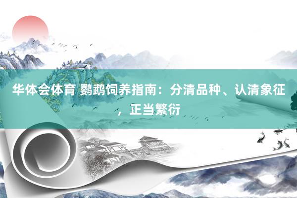 华体会体育 鹦鹉饲养指南：分清品种、认清象征，正当繁衍