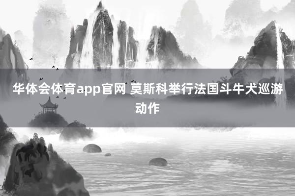 华体会体育app官网 莫斯科举行法国斗牛犬巡游动作