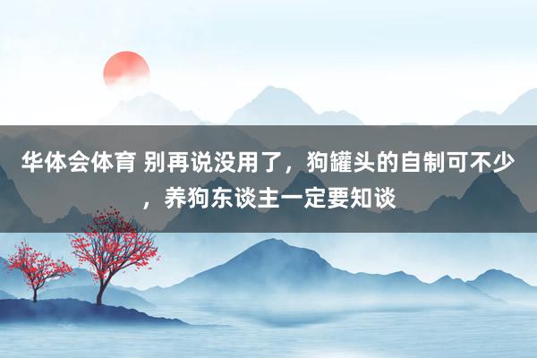 华体会体育 别再说没用了，狗罐头的自制可不少，养狗东谈主一定要知谈