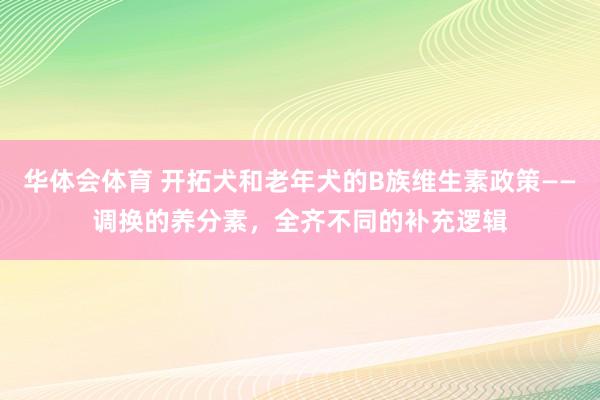 华体会体育 开拓犬和老年犬的B族维生素政策——调换的养分素，全齐不同的补充逻辑
