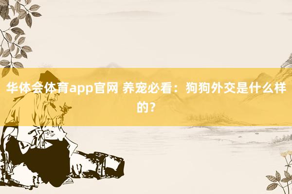 华体会体育app官网 养宠必看：狗狗外交是什么样的？