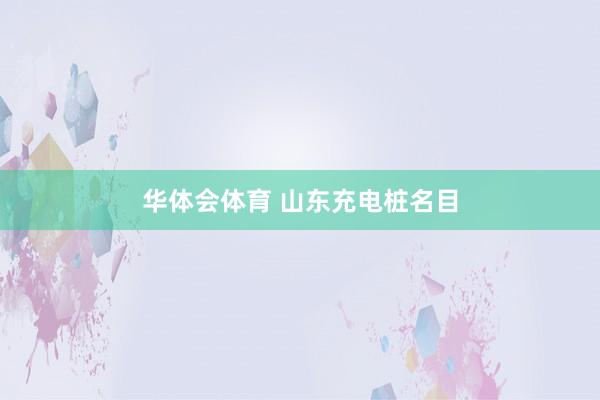 华体会体育 山东充电桩名目