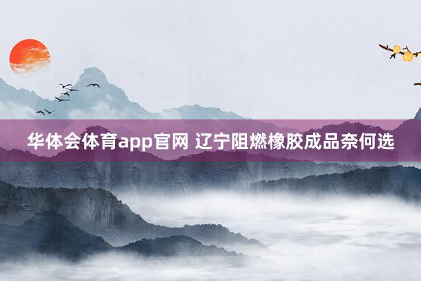 华体会体育app官网 辽宁阻燃橡胶成品奈何选