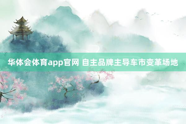 华体会体育app官网 自主品牌主导车市变革场地