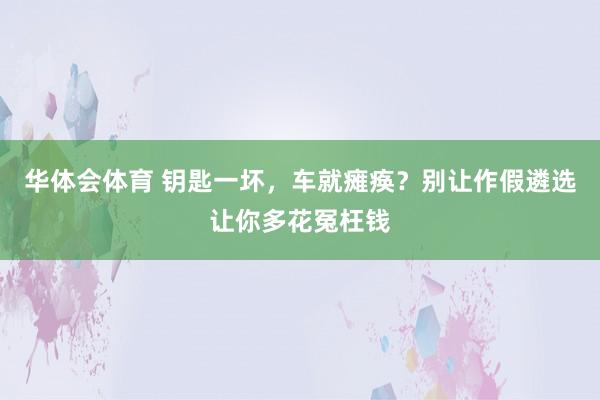 华体会体育 钥匙一坏，车就瘫痪？别让作假遴选让你多花冤枉钱