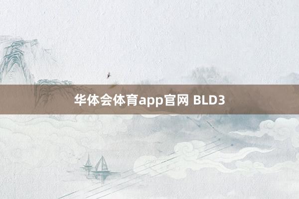 华体会体育app官网 BLD3