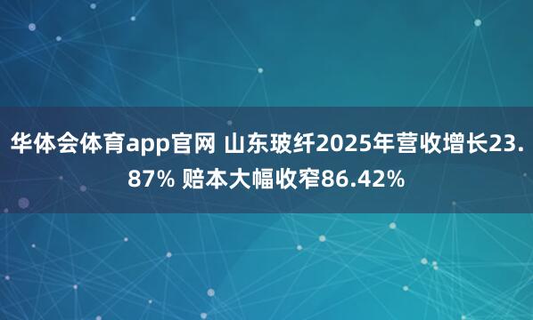 华体会体育app官网 山东玻纤2025年营收增长23.87% 赔本大幅收窄86.42%