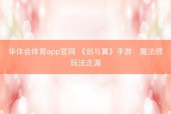 华体会体育app官网 《剑与翼》手游：魔法师玩法走漏